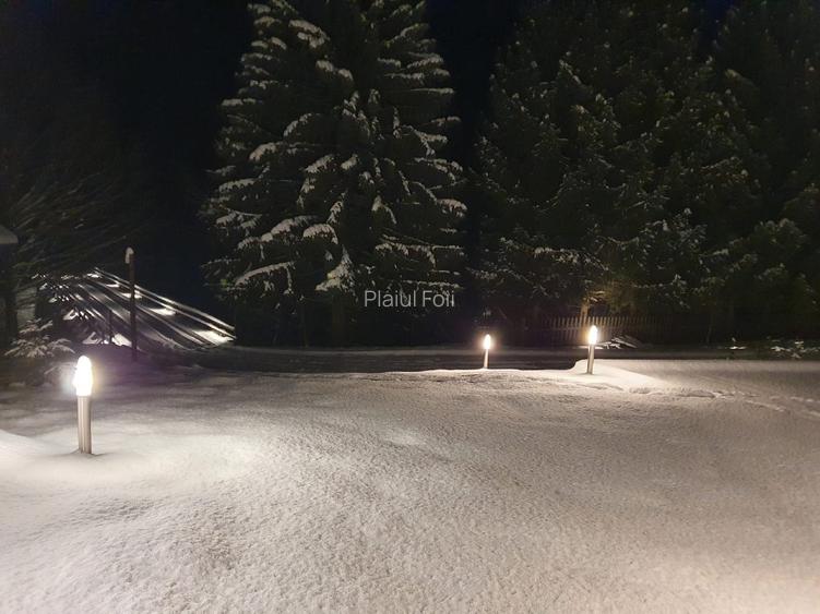 Vila de lux Brasov-Zarnesti-Piatra Craiului-Plaiul Foii, 2 HA, Gym sauna jacuzzi - 16