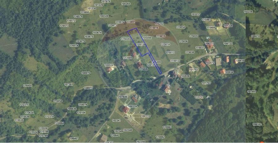 Teren 1,697mp Cisnadioara / Strada Silvicultorilor