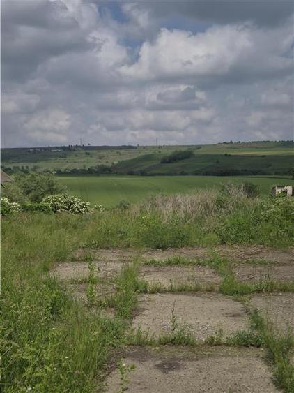 Teren intravilan Moara Nica - 1950 mp