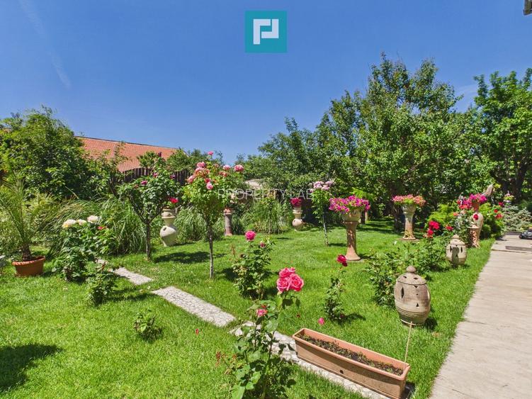 Spațiu comercial– Zona Mircea cel Bătrân - 14