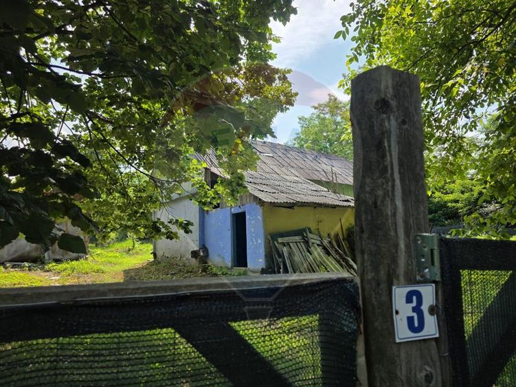 Teren intravilan mare cu casa veche In Buciumi langa Onesti