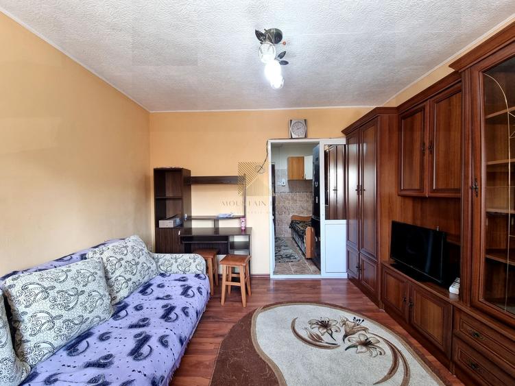 Garsoniera 24 mpu | mobilata | etaj 1 | Zizinului
