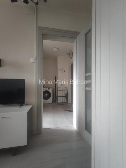 Proprietar - Apartament 1 camera, 40 mp - Zona Complex, Bd. Corneliu Coposu - 5