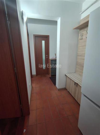 Inchiriere Apartament 2 camere decomandat Alexandru cel Bun - 9