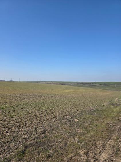 Teren intravilan, 7500 mp, Mischii