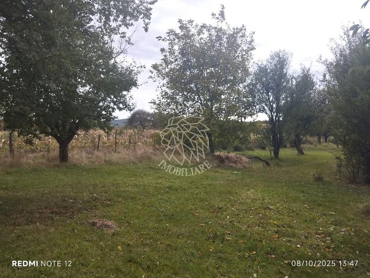Teren intravilan 1500 mp-ideal casa-Mijlocenii Bargaului