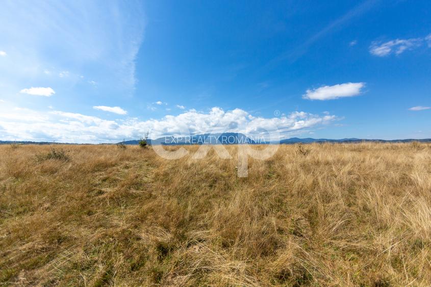 4.260 mp intravilan | 4 loturi | Valea Glăjăriei – Râșnov | 40 €/mp - 6