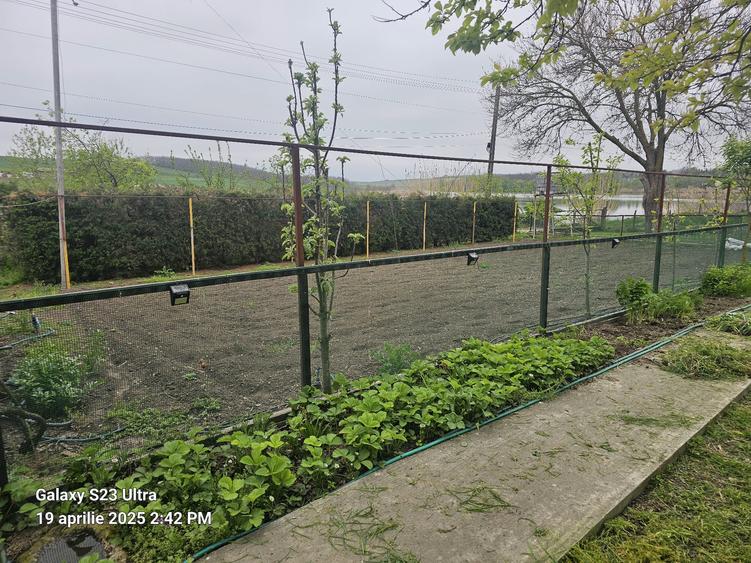 Colt de rai refugiul tău verde în inima naturii
