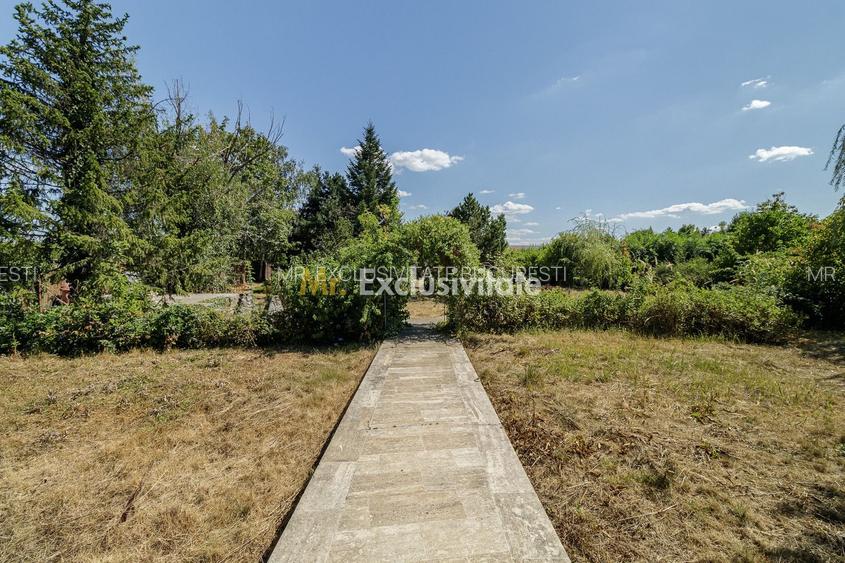 Domeniu privat 5.000 mp, cu reședință de 625 mp și piscină, Corbeanca - 14