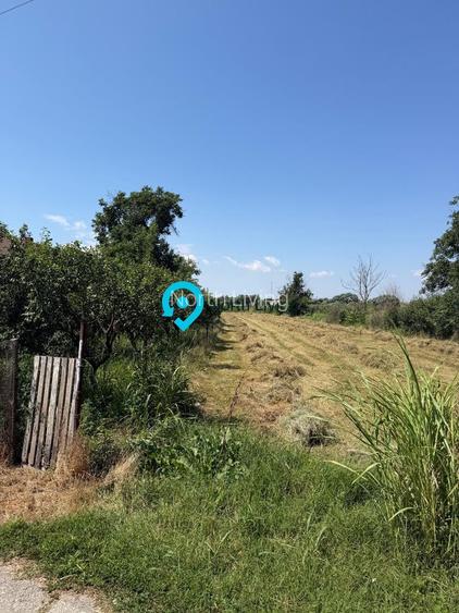 Teren intravilan 4.000 mp Comana (Budeni) | 10 €/mp negociabil | Comis