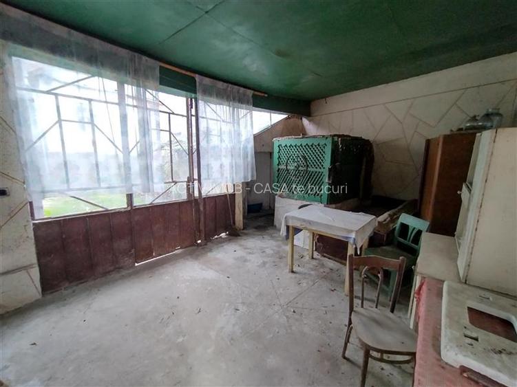 Bogodint, Casa cu 4 Hectare Teren, Pret Negociabil - 28
