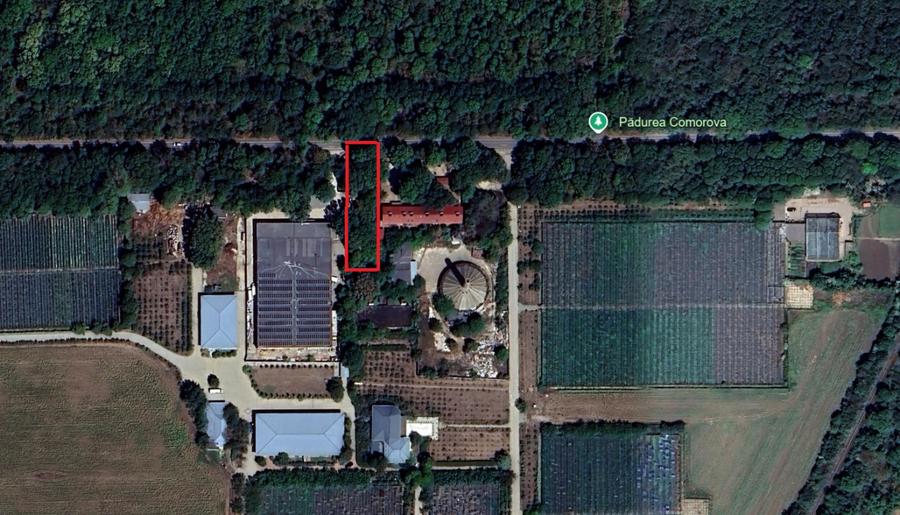 Neptun - Teren construibil in Padurea Comorava