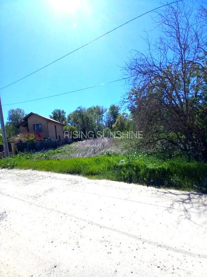 Teren intravilan | 1000 mp | Magurele | Toate utilitatile - 4