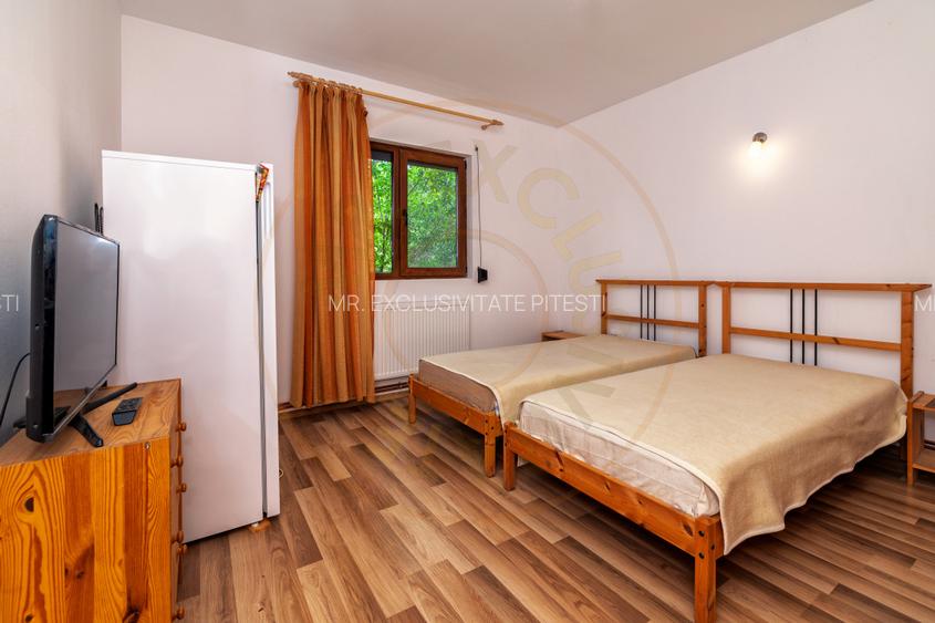 Casa moderna si casa bunicii + 6300 mp teren,Oaza autentica in Corbi Arges- - 14