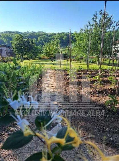 Teren intravilan | De vanzare | 600 mp | 13.6 ml deschidere | Ciugud