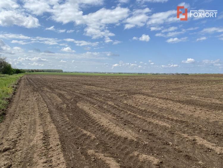 Teren Agricol | Opurtunitate investitie | Sananadrei - ID V713