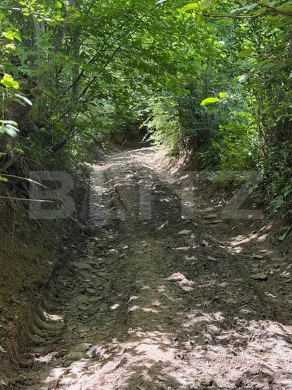 Teren extravilan 5049 mp, Vama, Bucovina
