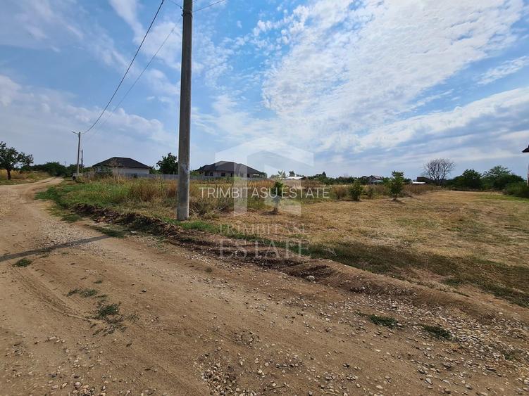 Teren intravilan Domnești-Strada Zori de Zi-Sos. Independentei - 2