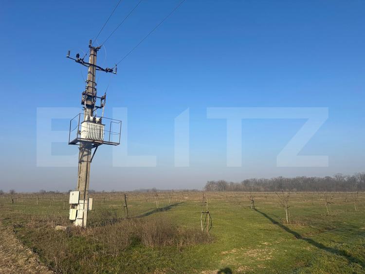 Ferma de nuci - teren agricol, zona Ivesti