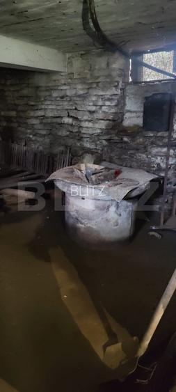 Teren Construibil 2900 mp cu 2 deschideri la asfalt – livadă matură, DN 72A - 14