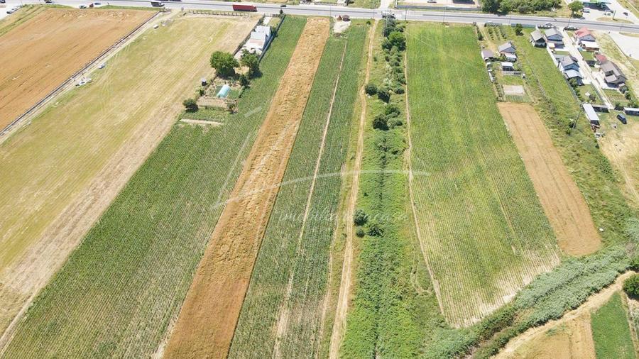 Teren cu potențial de dezvoltare –7427 mp în Argeșelu, Mărăcineni, județul Arges