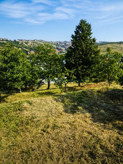 Teren in zona verde aproape de oras, zona Doja, Oradea