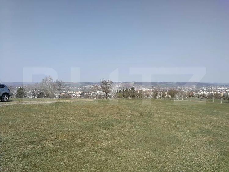 Teren intravilan, 15.904 mp, zona Dambu - 2