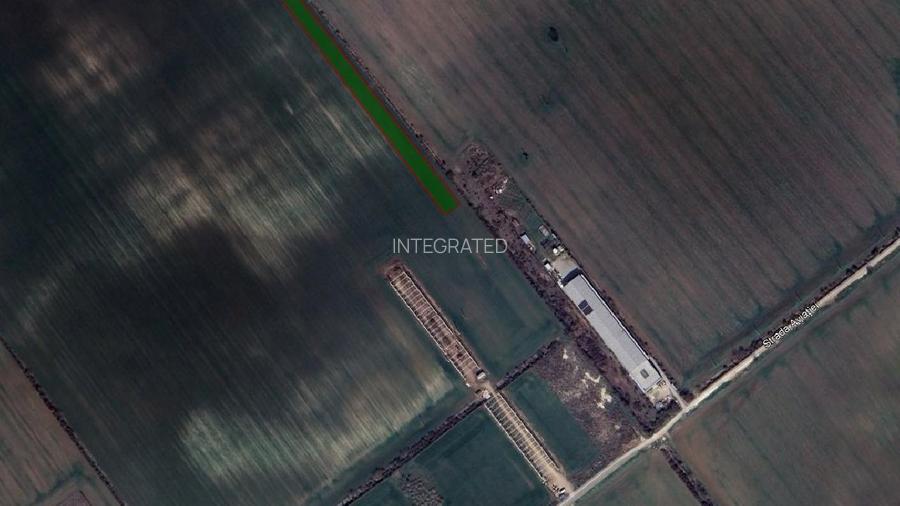 Teren intravilan 6300 mp - Buftea ~ Ilfov - 2