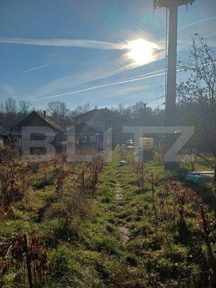 Casa + 20 arii teren, distanta 30 km de Bistrita