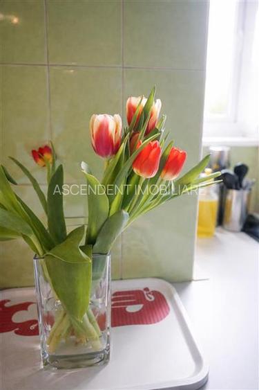 Rezidenta tip penthouse,doua nivele, terase,panouri solare,Avantgarden, Bartolom - 20