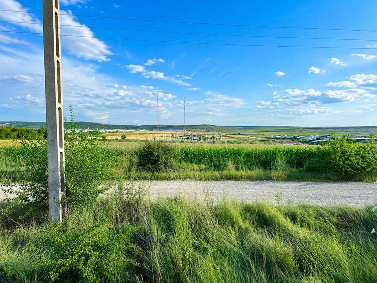 Teren pentru Hală 1000 mp zona Metro lângă Zeelandia, 20,30 m deschidere, Aproape E85, Ideal Investiție Industrială - 8