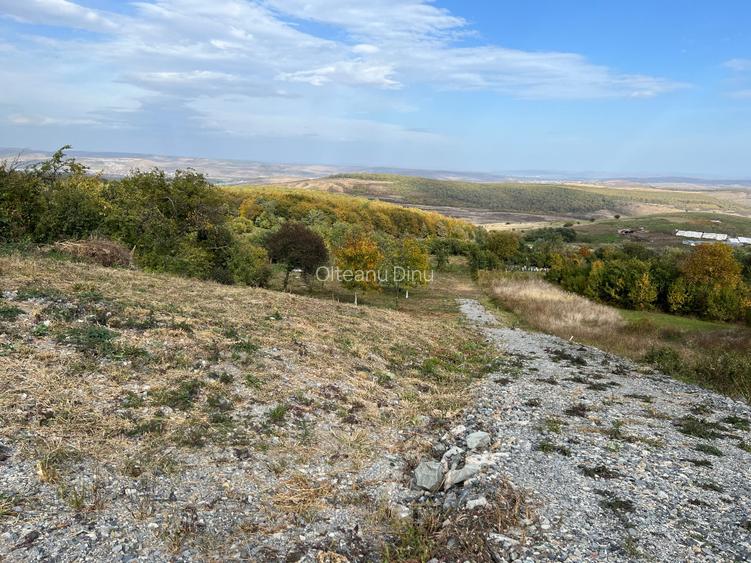 Teren intravilan, sat Gheorghieni, Principala 72, 2x1900 mp - 3