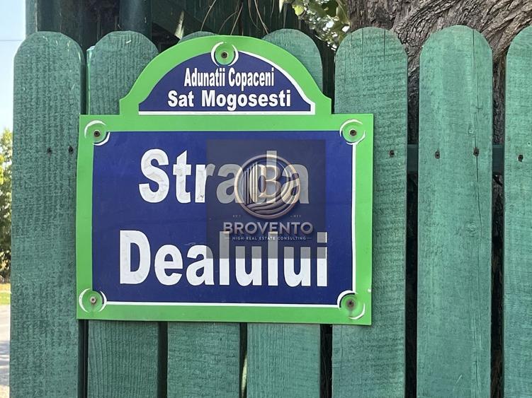 Teren Adunatii Copaceni-Strada Dealului