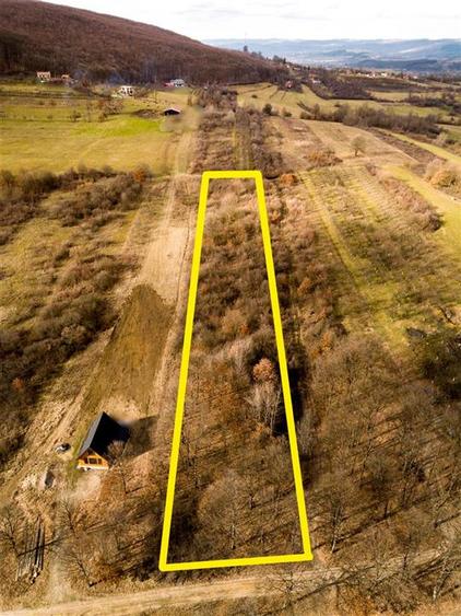 RECO Teren 5361 mp, Vadu Crișului, teren generos