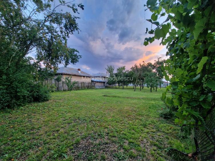 Casa cu teren de 1.536 mp de vanzare – Cretulesti, com. Matasaru, jud. Dambovita - 2