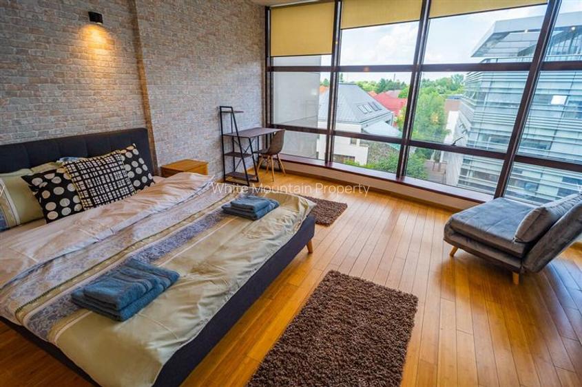 Apartament 2 camere,, pretabil rezidential sau office, vanzare Herastrau - 8