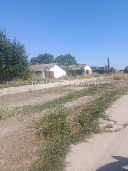 TEREN DE VÂNZARE – CREVEDIA, 96000 MP – cu trei intrari din DN1A - 4