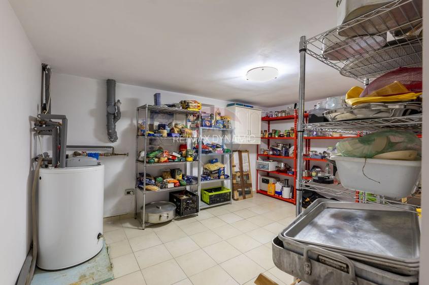 Vilă cu 4 camere de vânzare 921 mp zona Subcetate,Arad - 22