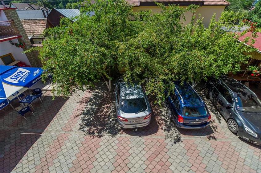 Pensiune cu restaurant, profit asigurat din chirii, terasa spre munte, Brasov