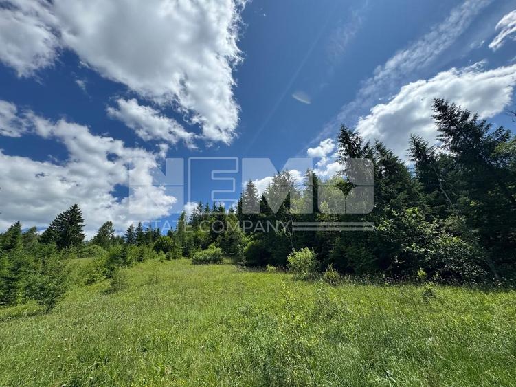TEREN EXTRAVILAN DE VANZARE | CAMPULUNG MOLDOVENESC | 235.000€