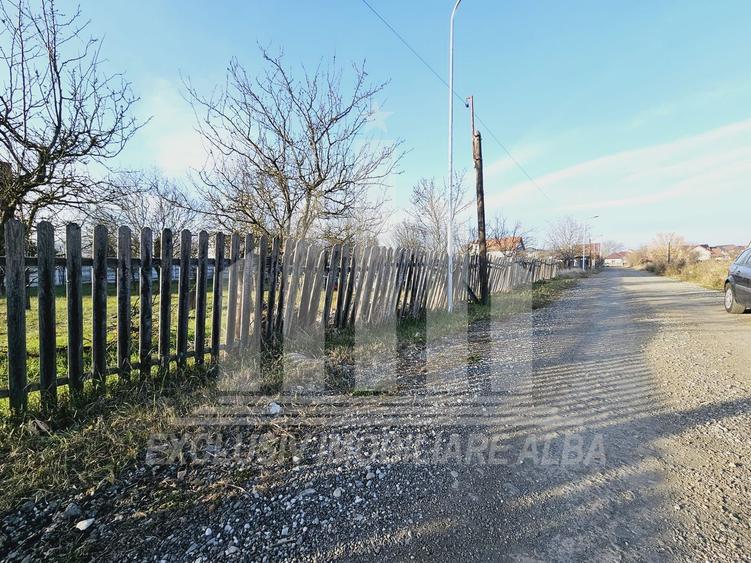Teren intravilan | De vanzare | 1769 mp | 56 ml deschidere | Cetate