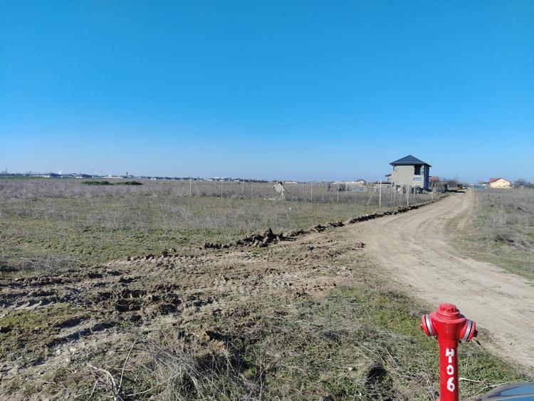 Teren extravilan, Cârcea, 988 mp
