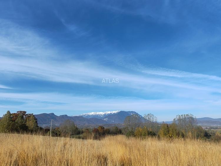 5.800 mp extravilan, Sohodol-Bran, retreat, cabane, off-grid ecoturism, panorama - 9