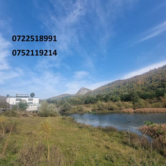 Teren deosebit, la munte, Dragoslavele, Rucar, Arges, doar 6 euro/mp!