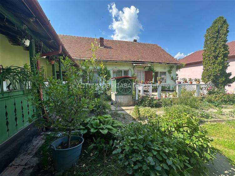Bocsa Montana, Casa mare la strada principala - 24