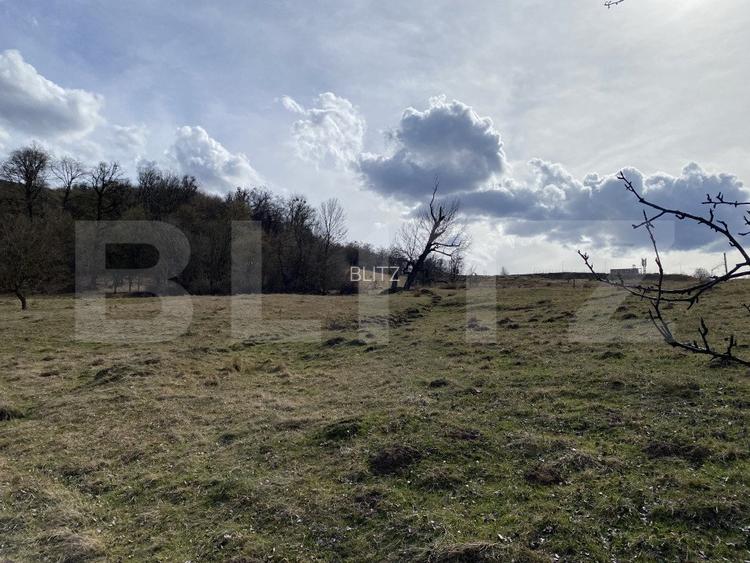 Teren extravilan in suprafata de 7500 mp la poalele Mesesului - 7