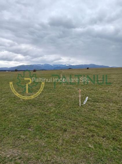 Teren de vanzare, 4.000 MP, Șelimbar, Zona Ion Art, investitie - 4