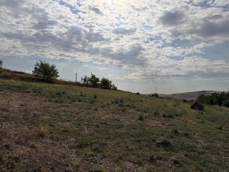Oportunitate pentru dezvolatatori, 5800 m2, front de 52 m