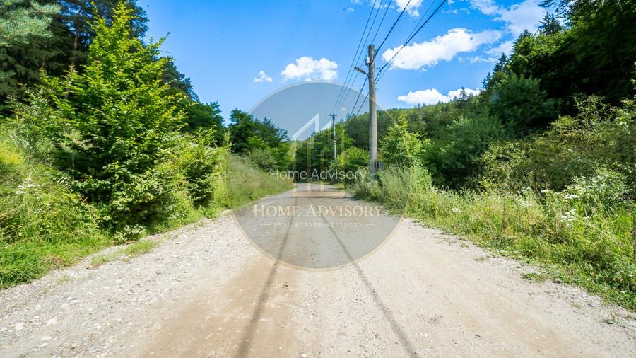 Refugiu în inima naturii | Proprietate premium în Pădurea Bogății - 10