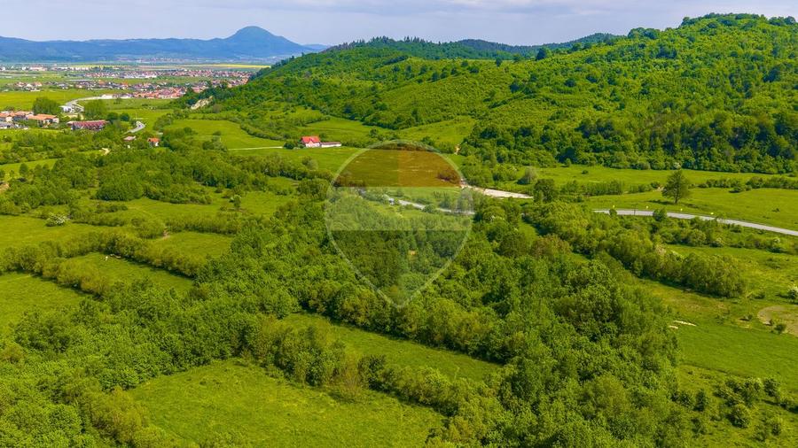 Teren 1ha Valea Glăjeriei - Rasnov | Comision 0%